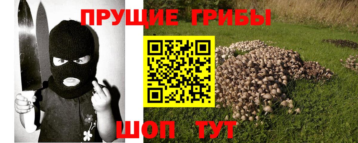 Галлюциногенные грибы Cubensis  Галлюциногенные грибы MAGIC MUSHROOMS  Белореченск  Вход с VPN 