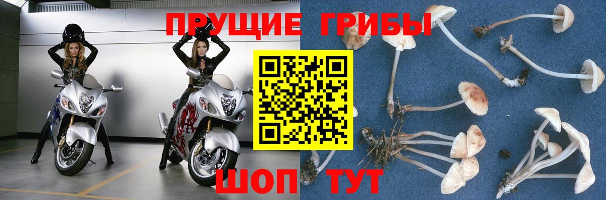 Галлюциногенные грибы Magic Shrooms Белореченск